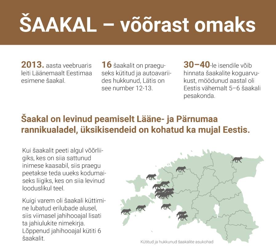 šaakal - võõrast omaks