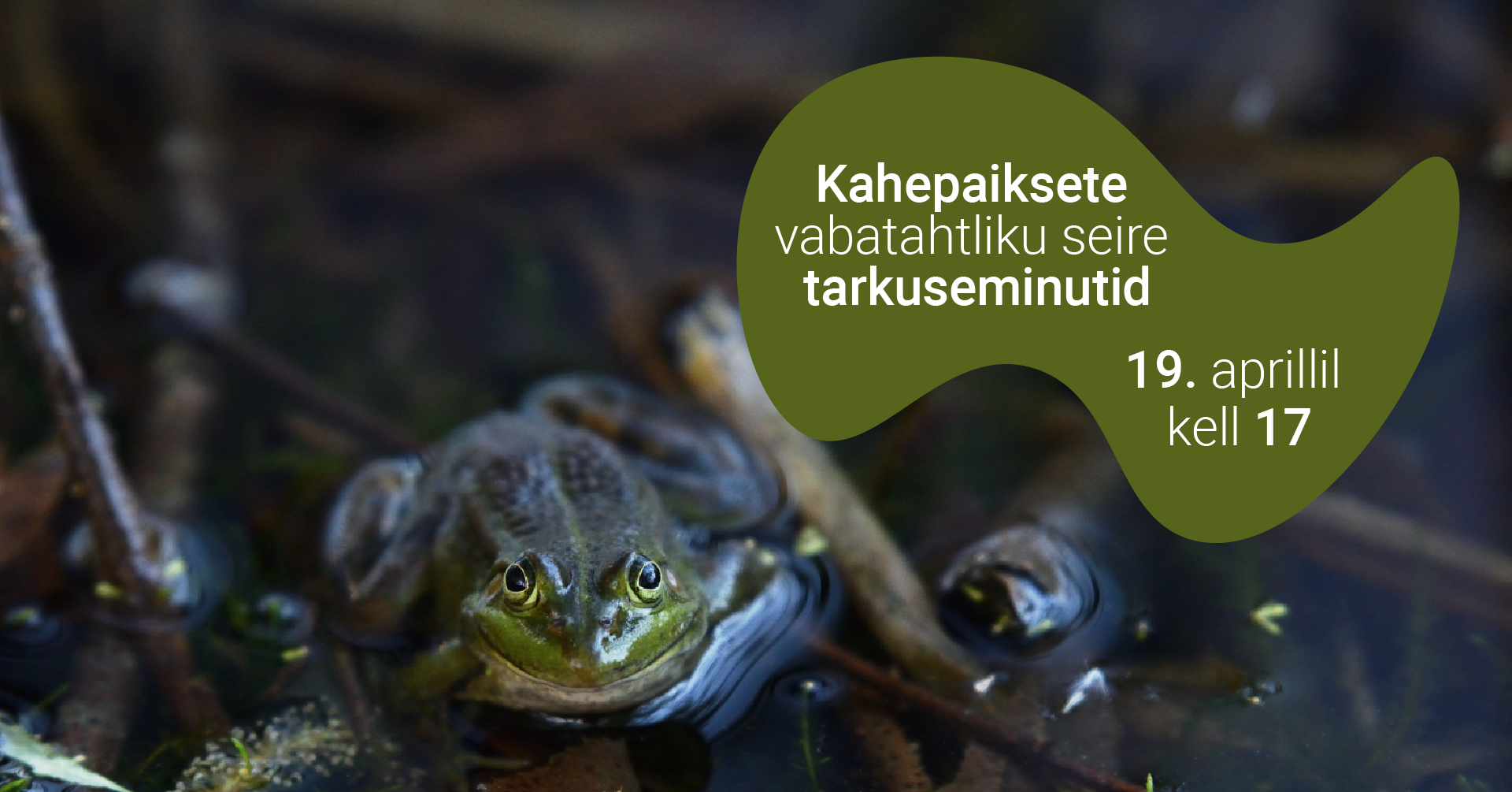 kahepaiksed 