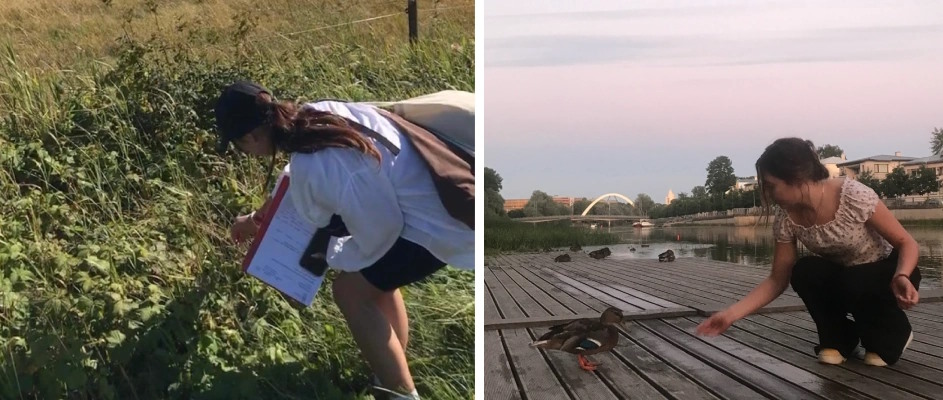 Praktikant Lola välitöödel, kaks erinevat kaadrit kõrvuti.