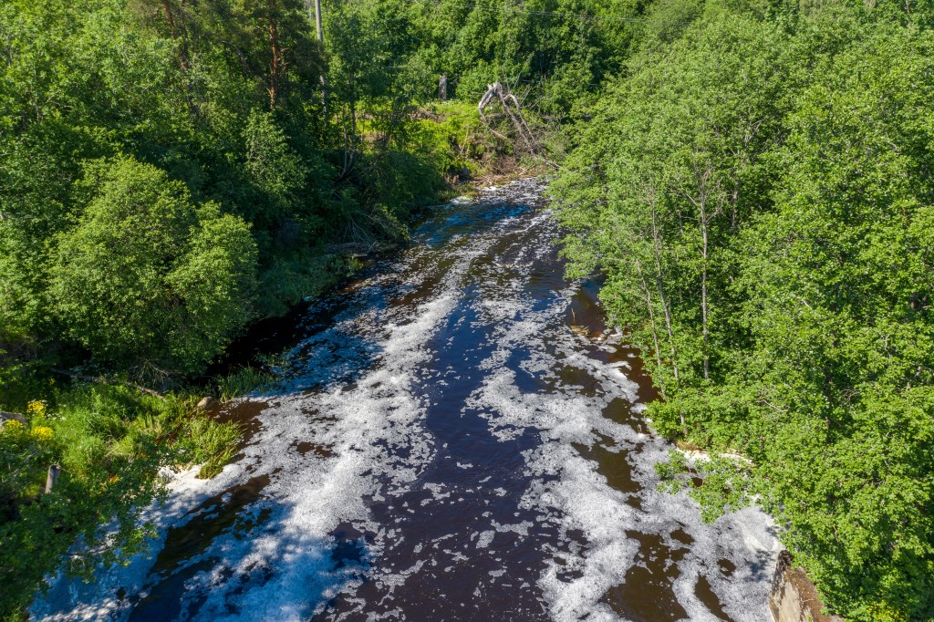 Purtse-jõgi.jpg
