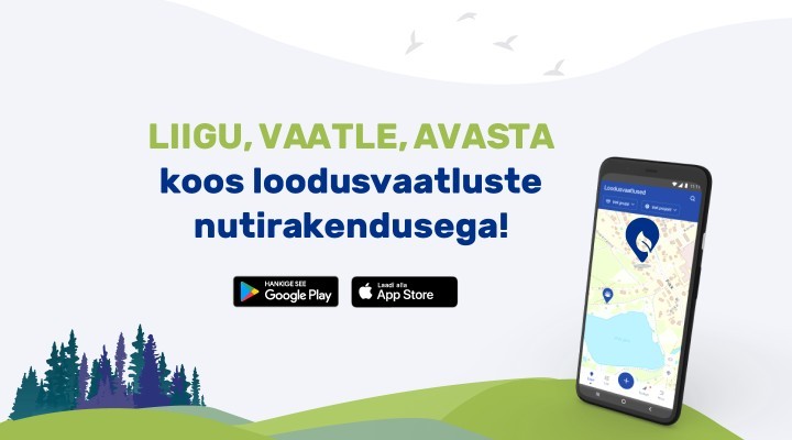 veebiuudis (1).jpg