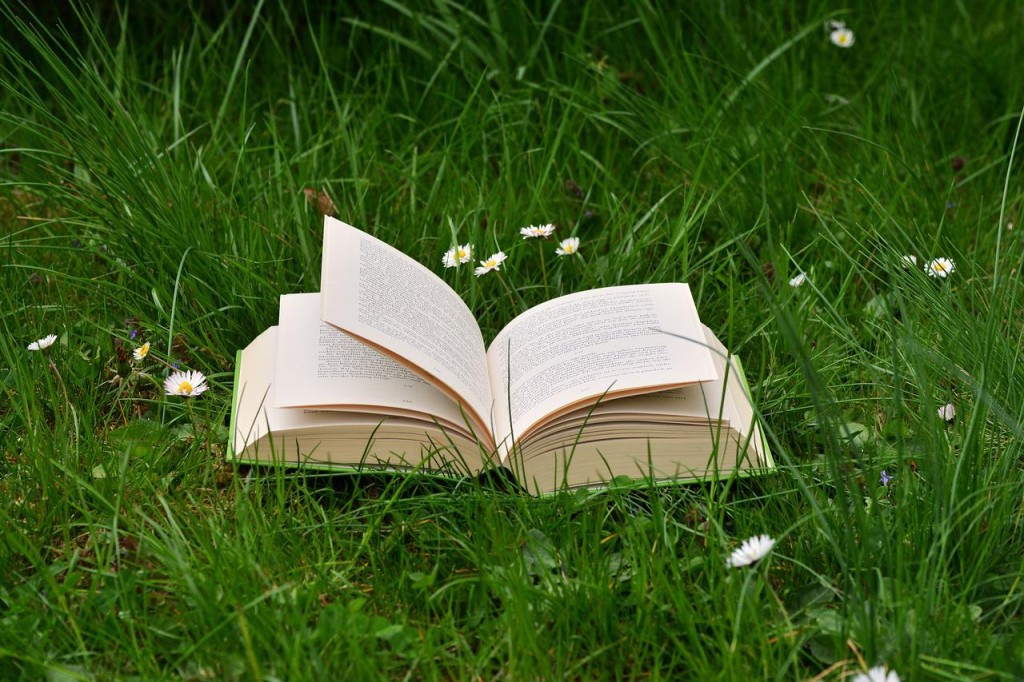 book-2224934_1280.jpg