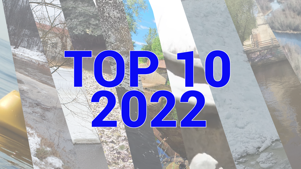 Kaanepilt_TOP10_hydro.png