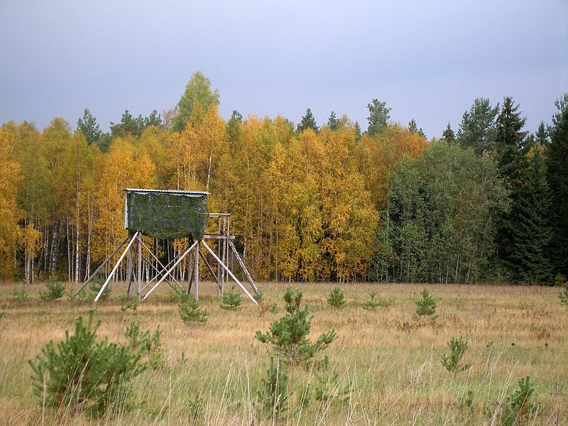 Hunting_blind_in_Estonia.jpg