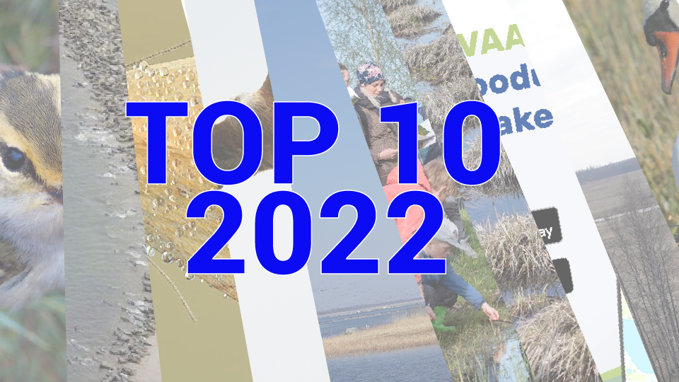 Top10_0.png