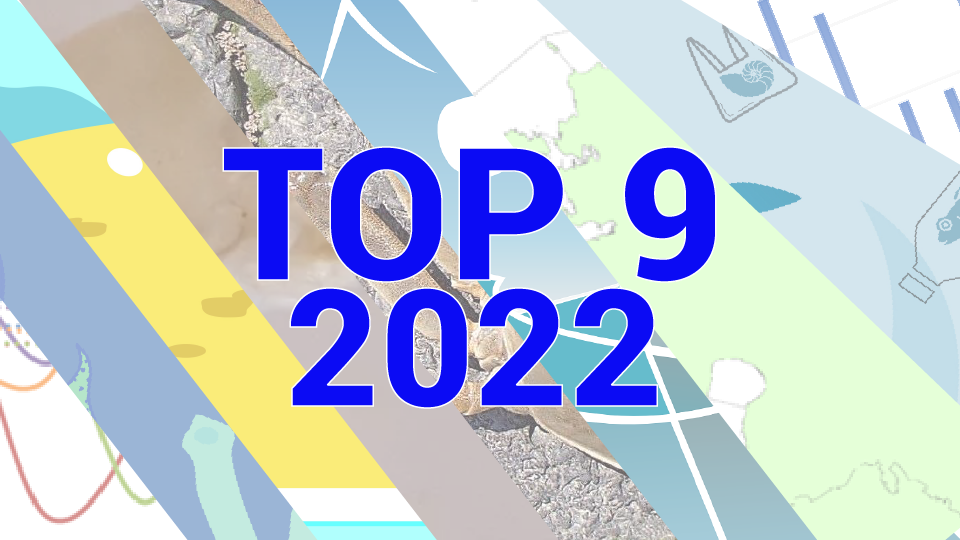TOP 9 tähelepanekut 2022. aasta mereseire tulemustest