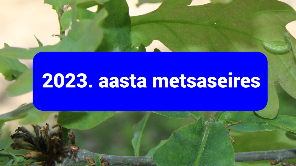 metsaseire.png