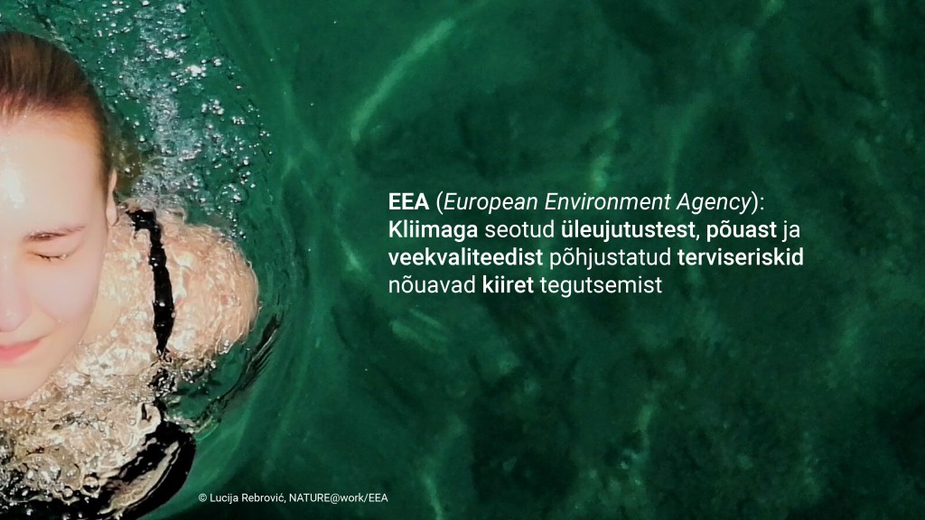 EEA1505.jpg