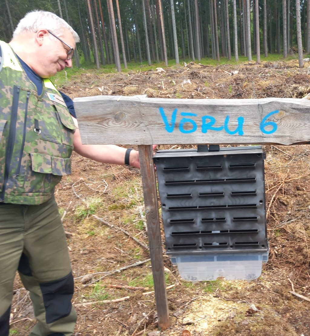RMK Sadramõtsa seirepunkti feromoonpüünis