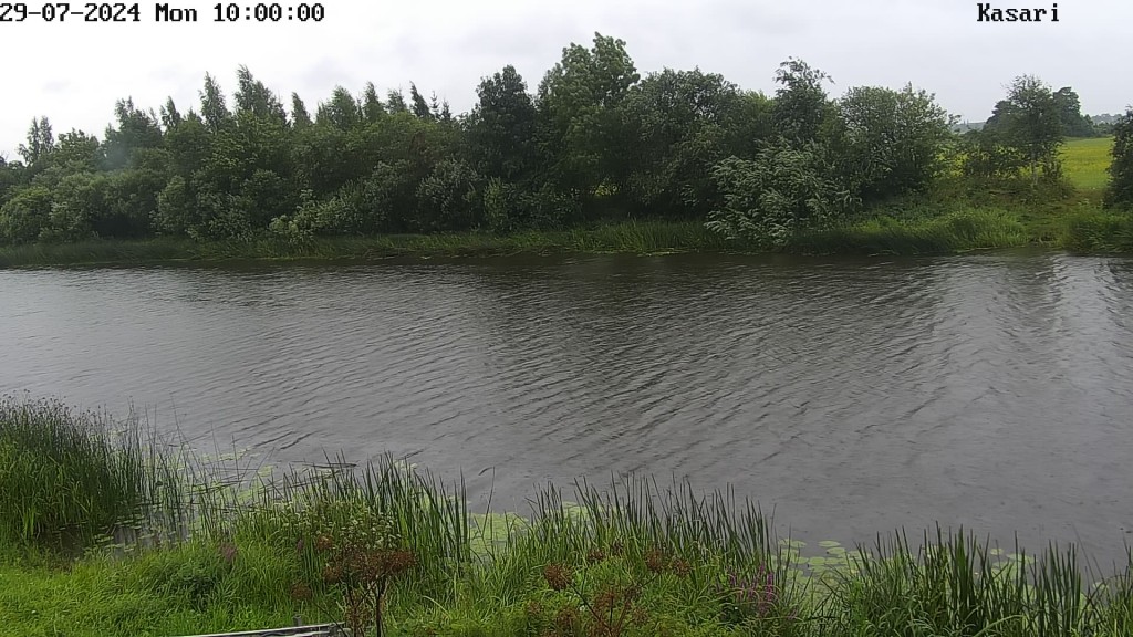 Kasari_C90109568_20240729100000798_TIMING.jpg