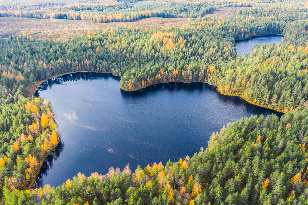 Kaarel Kaisel_järv droonilt.jpg