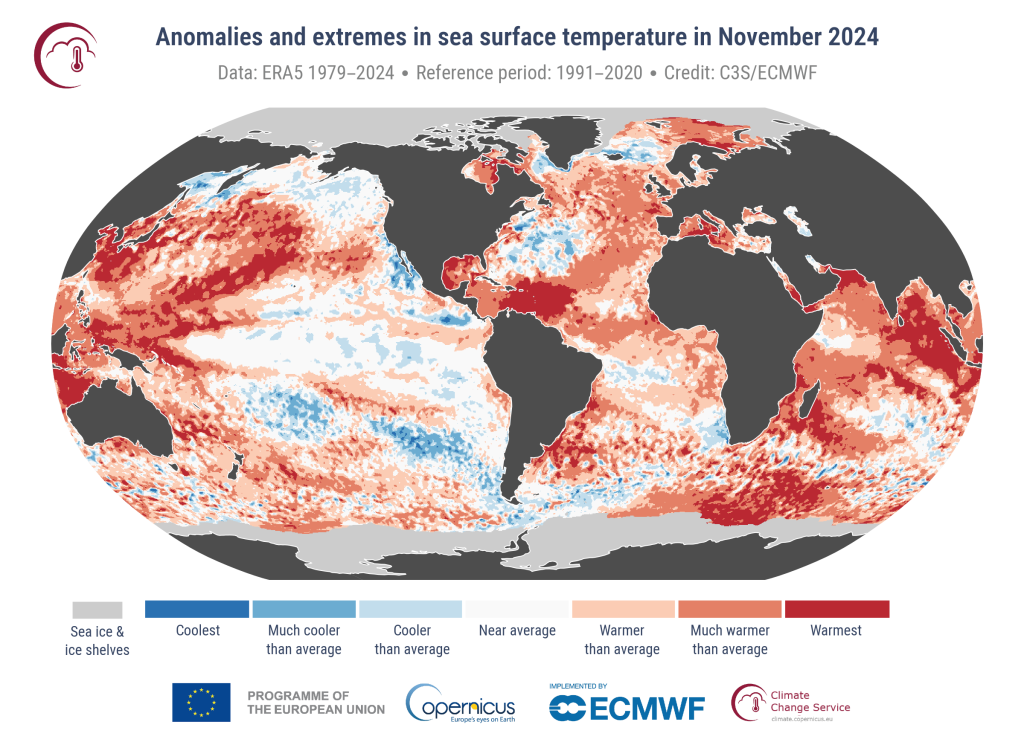C3S_PR_202411_Fig3_map_sst_anomalies_and_extremes.png