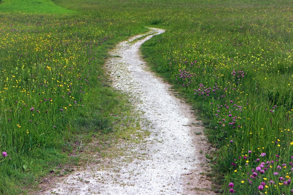 trail-352284_1280.jpg