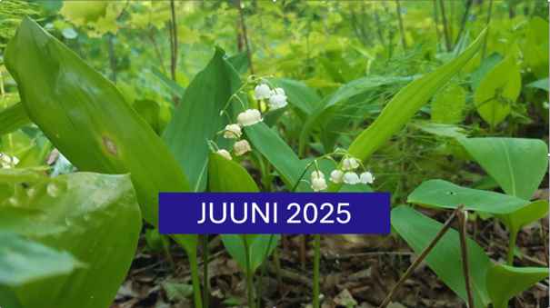 cover juuni.png