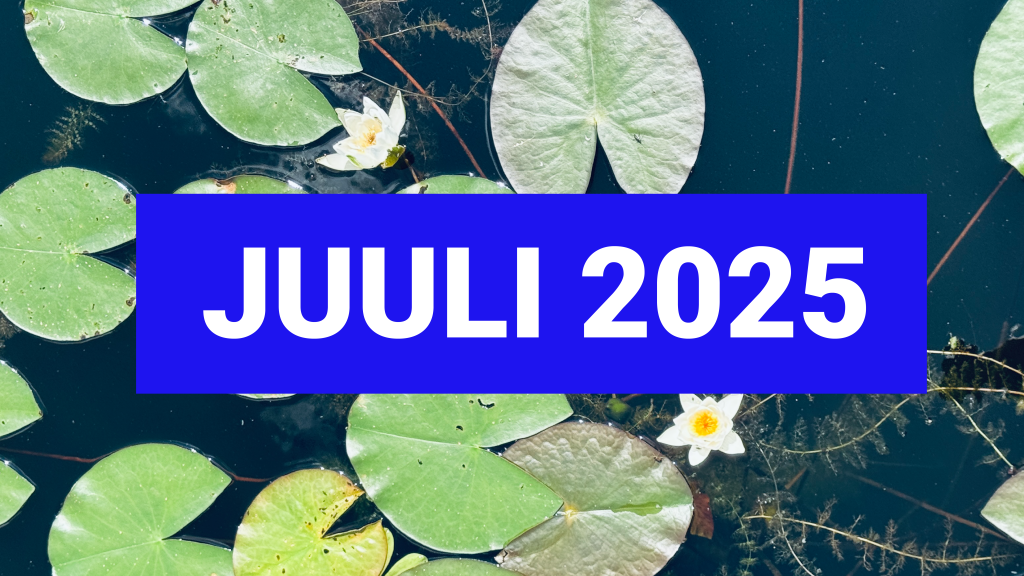 juuliblogi-02-01.png
