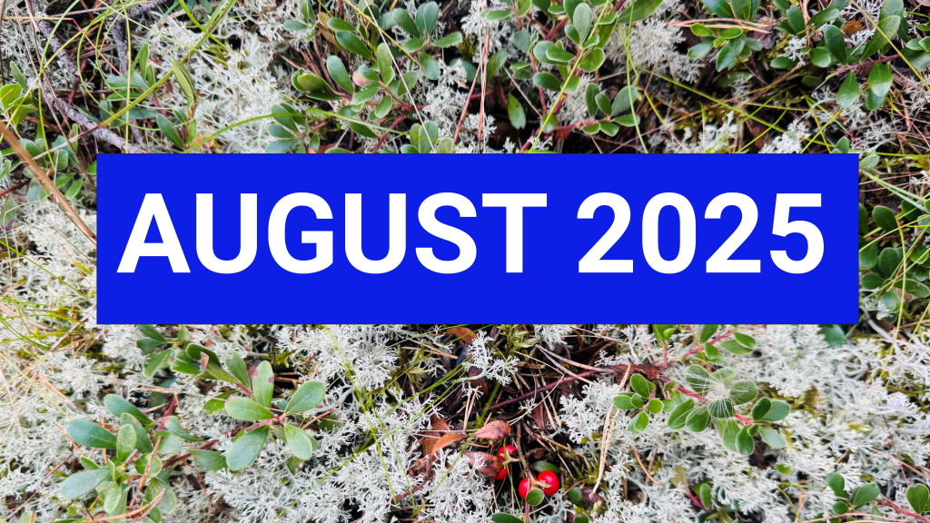 august