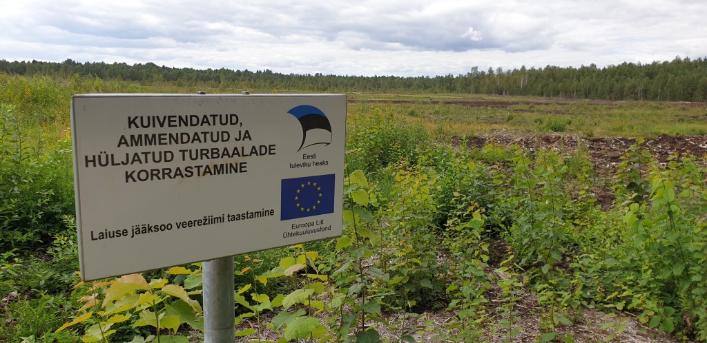 Laiuse jääksoos taastamine_IT_2020_0.jpg