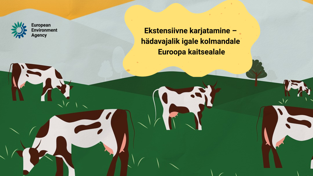Ekstensiivne karjatamine
