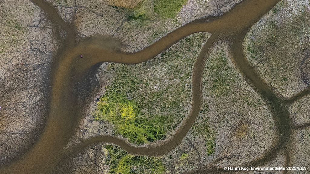 Climate-resilience-in-Europe-2025-Report TH-01-26-025-EN-N-01.png