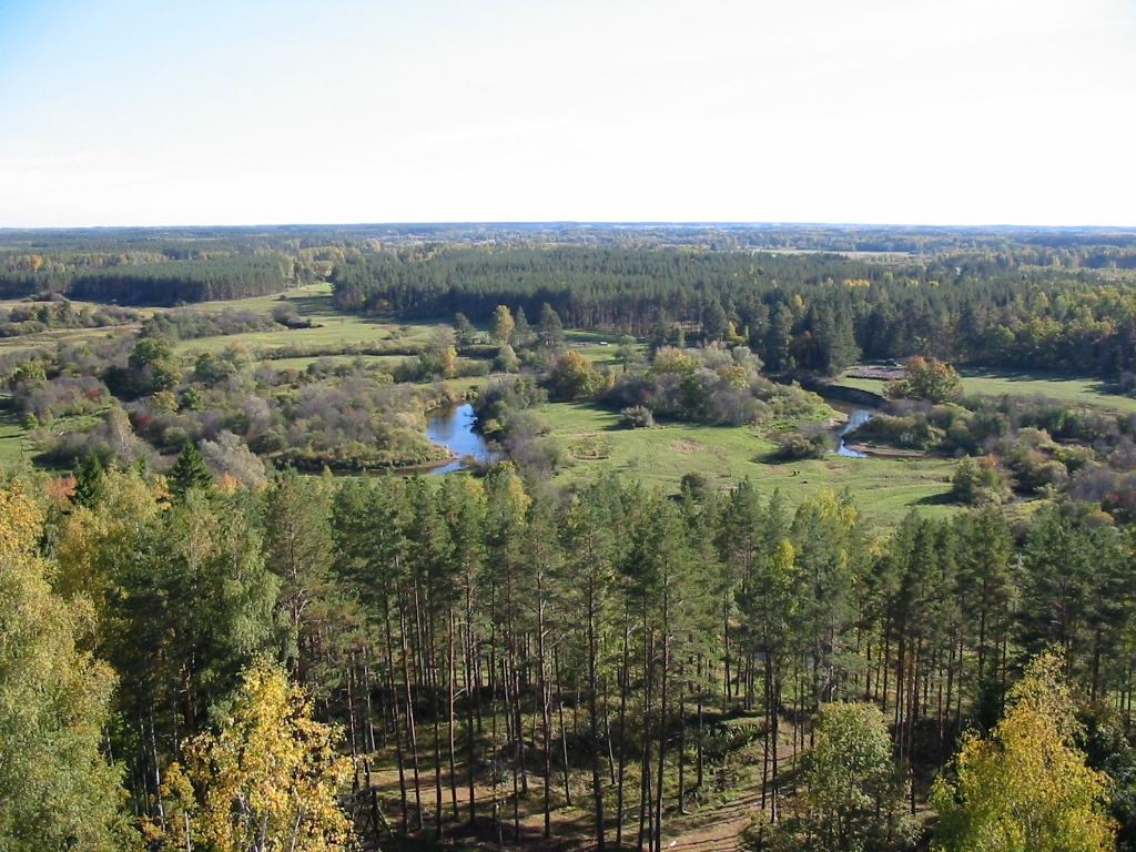 majandusmetsad_foto_kalmer_aunap.jpg