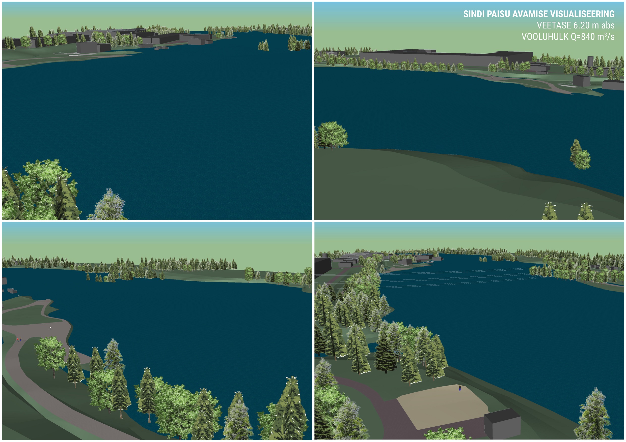 sindi_paisu3d_vt-6.20_pilt2.jpg