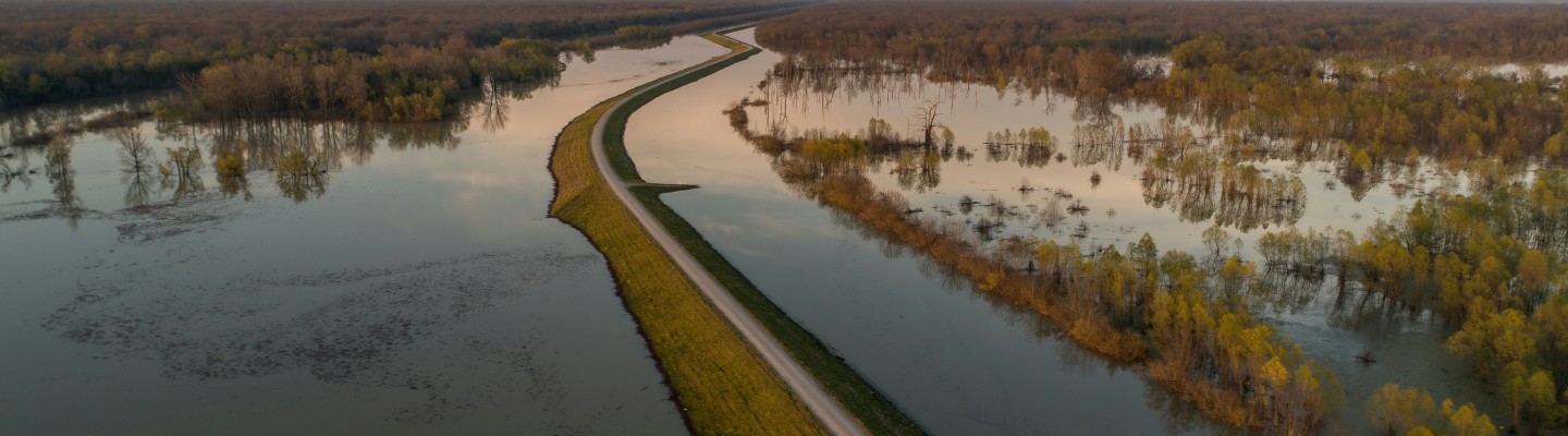 Üleujutus, kus vaid teetamm veest kõrgemal